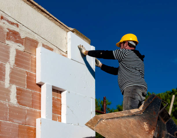 Best Geographic-Specific Insulation Services in Dellwood, MN