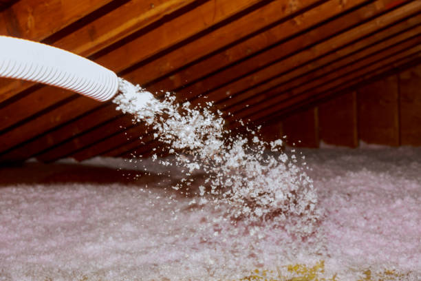 Best Spray Foam Insulation in Dellwood, MN